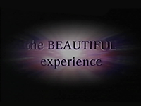 The Beautiful Experience title screen