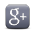 GooglePlus grey.png